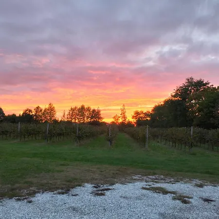 Barone Rosso تريفيزو