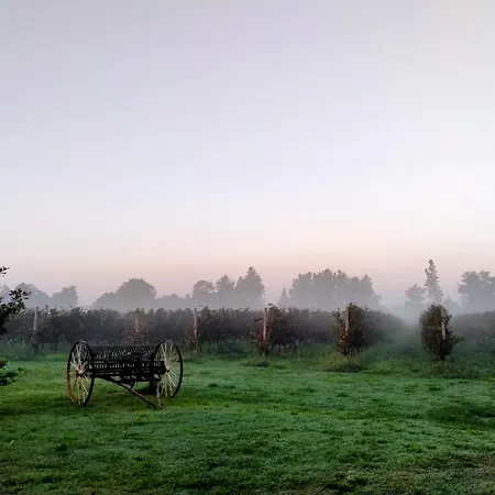 Couette-café Barone Rosso Trévise