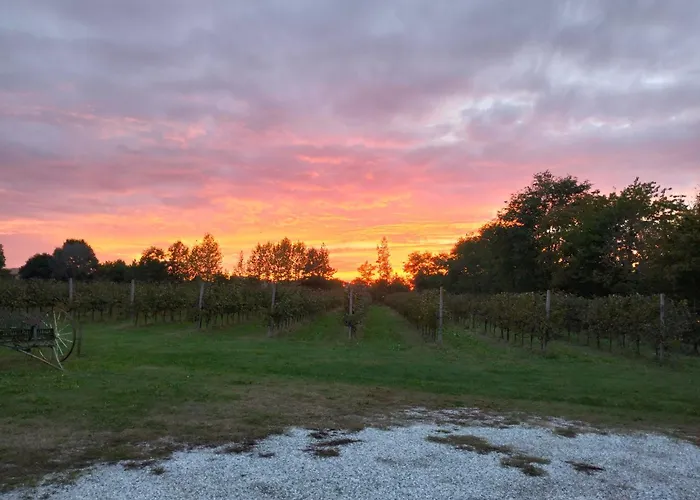 Barone Rosso Trévise