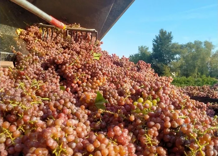 Barone Rosso Couette-café