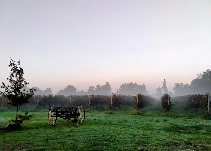 Couette-café Barone Rosso Trévise