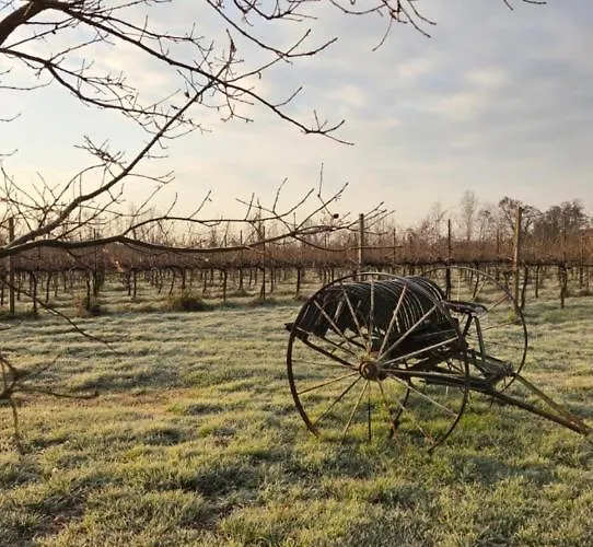 Barone Rosso 3* Trévise