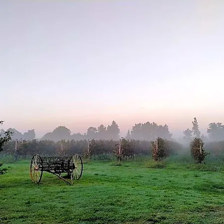 Nocleg ze śniadaniem Barone Rosso